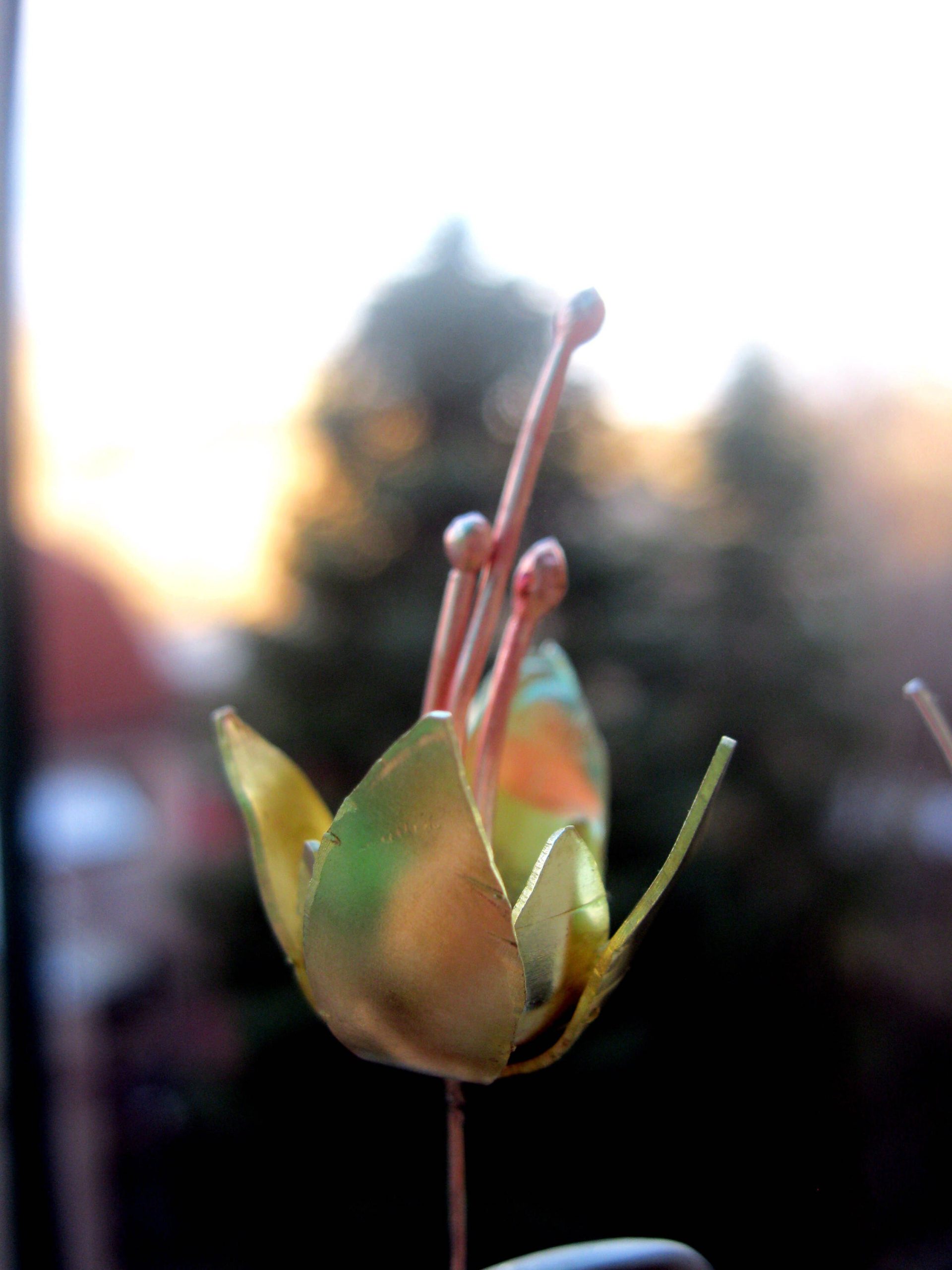 Flower Earrings / Brass Jewelry / Hoop Earrings / Dangle Earrings / Drop Earrings