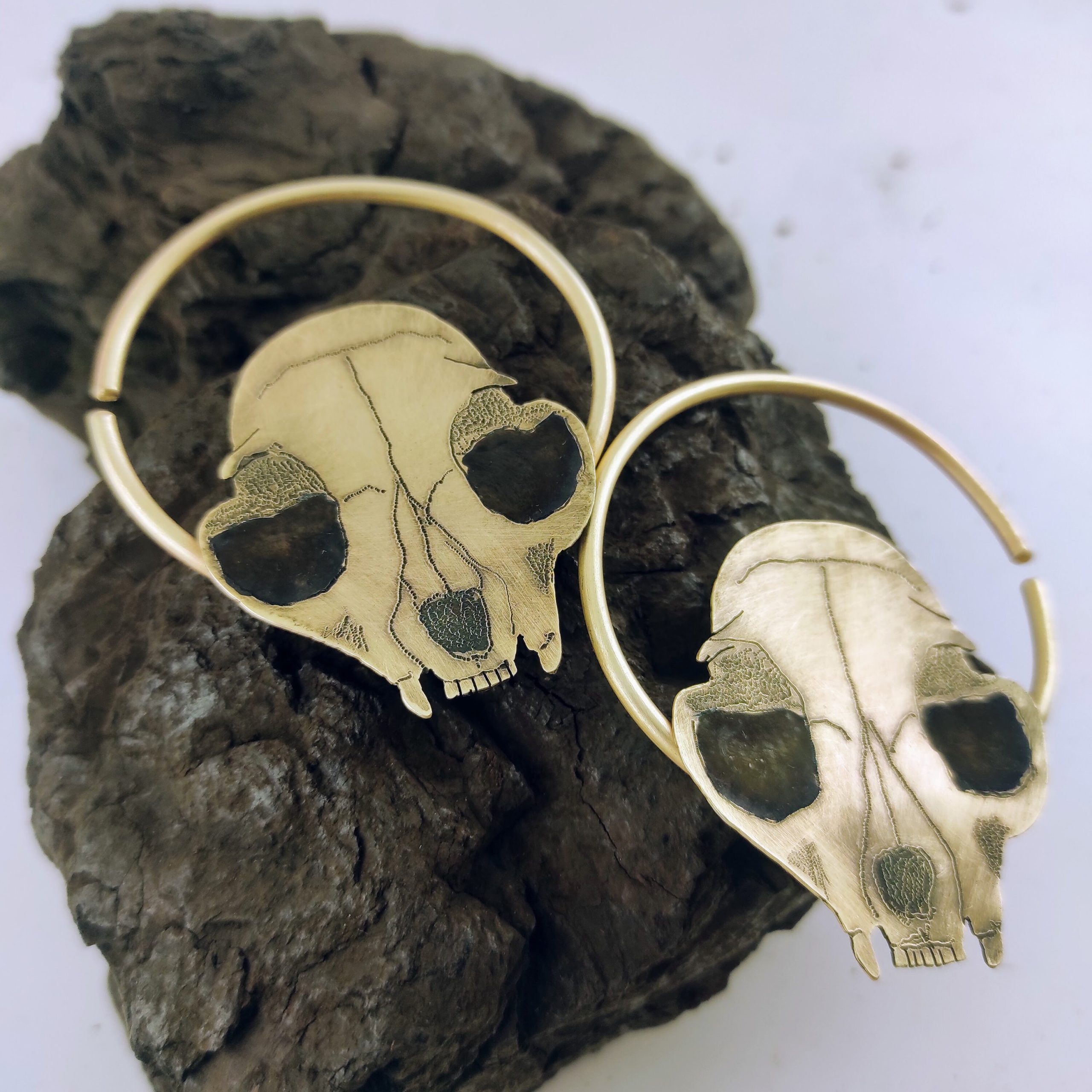 Skull Earrings / Brass Hoops / 10 gauge Ear weights / Spooky Earrings / Animal Skull Earrings